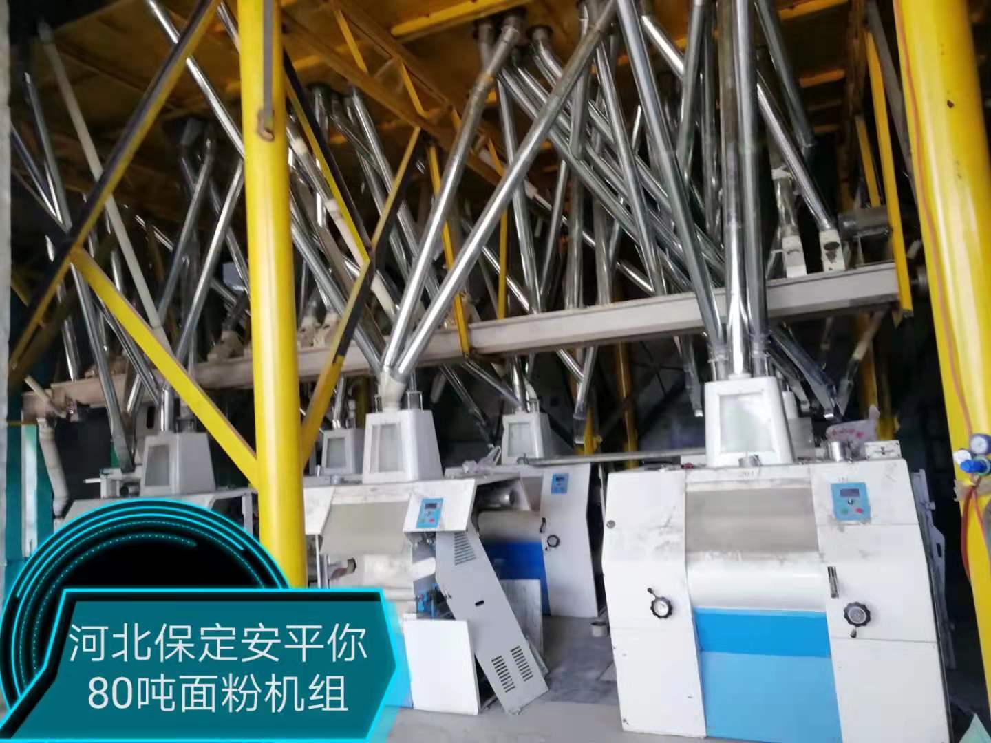 河北保定安平你80噸面粉機組