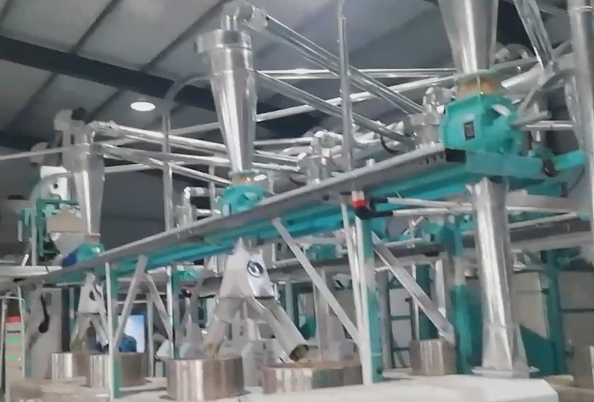 山東德州臨邑六加四石磨面粉機生產線