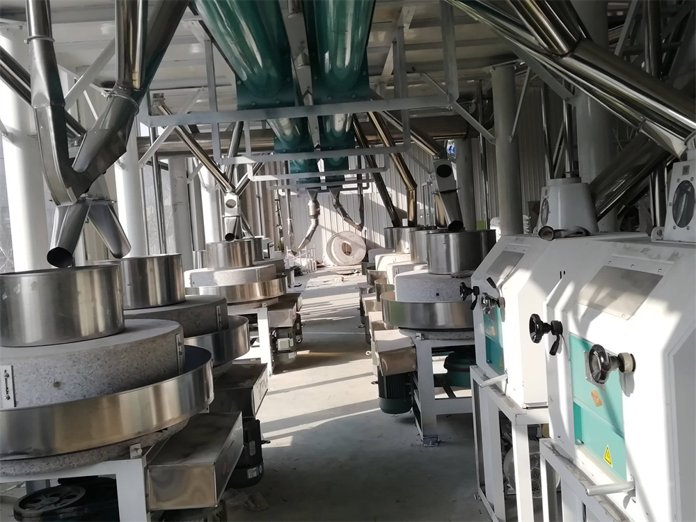 河北滄州經濟開發區八加四石磨面粉機生產線安裝現場