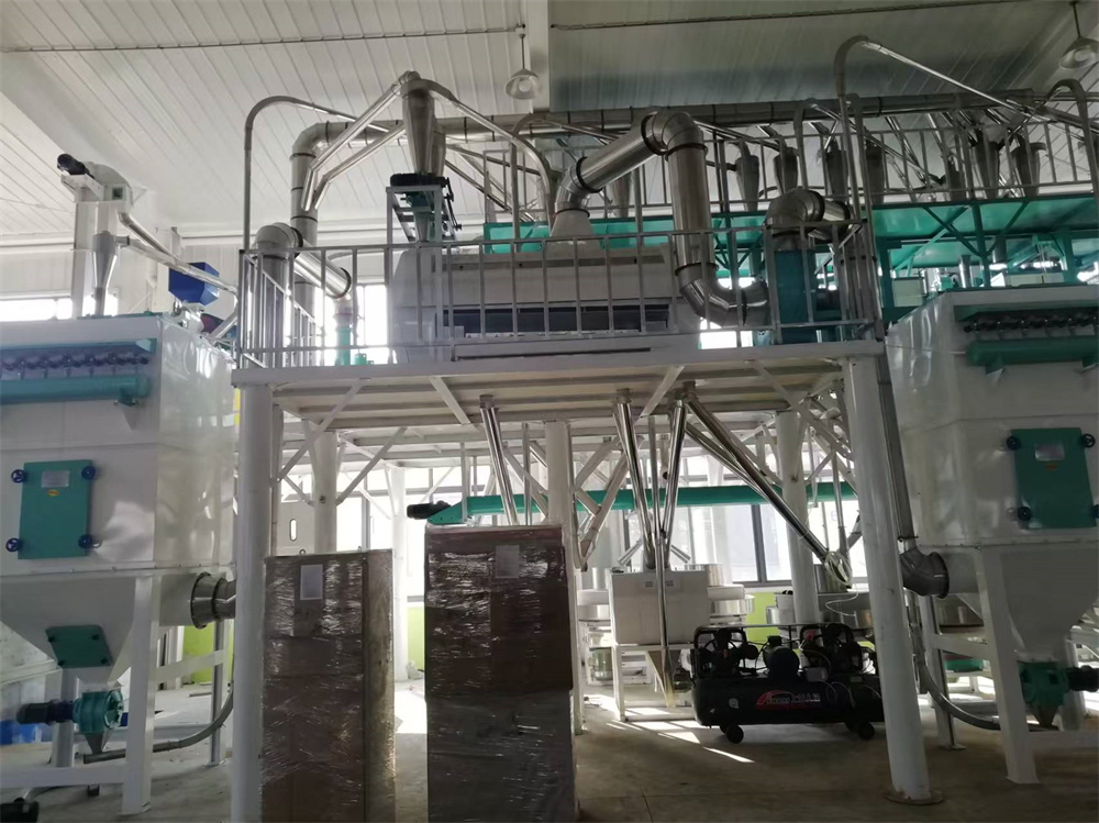 河北滄州經濟開發區八加四石磨面粉機生產線安裝現場